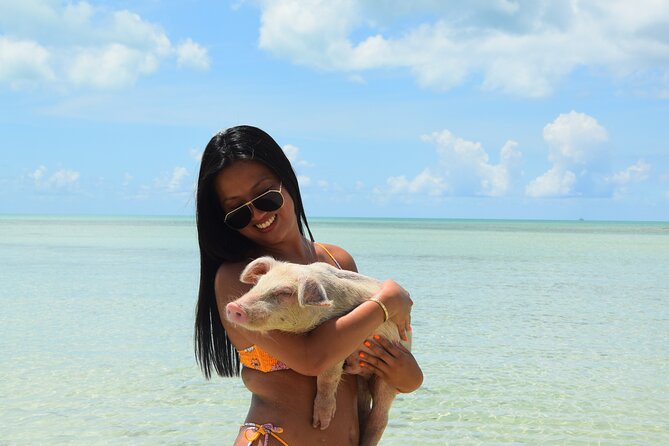 Swimming with Pigs in Nassau, Transportation Included - Timing, weather, and practical preparation