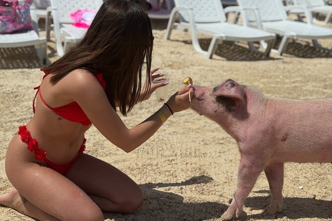 The Ultimate Bahamian Beach Day: Pigs, Jet Ski, Snorkeling & More - Lunch with Bahamian and familiar choices