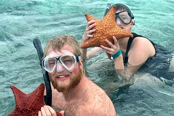Top 4 Snorkeling Adventures in Bimini - Why this Bimini trip feels different from a basic reef outing