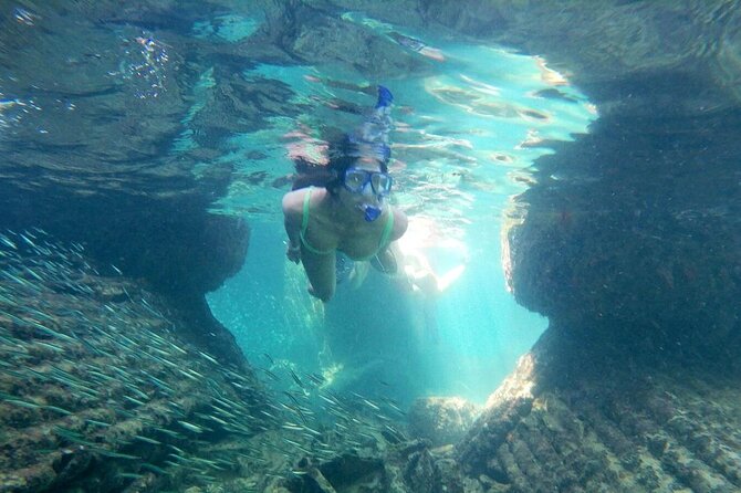 Top 4 Snorkeling Adventures in Bimini - Feeding stingrays at Stingray Island
