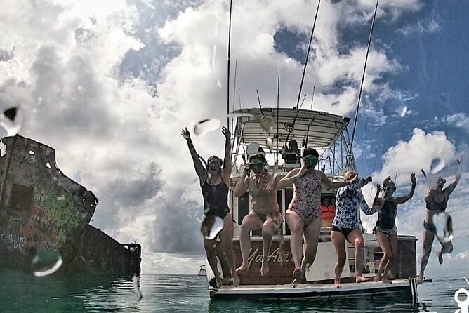 Top 4 Snorkeling Adventures in Bimini - The Shark Arena with about 30 reef sharks