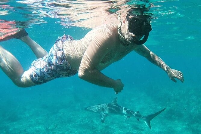 Top 4 Snorkeling Adventures in Bimini - What the small group and included extras are worth