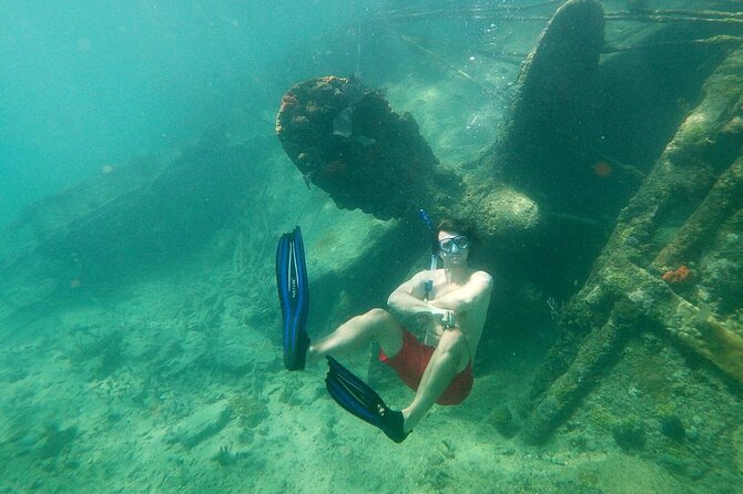 Top 4 Snorkeling Adventures in Bimini - Who should book this snorkeling adventure