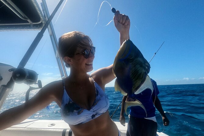 Ultimate SeaXscape Pigs/Turtles/Snorkel/Lunch/Drinks/PU/DO - Looking for Sea Turtles in Clear Water