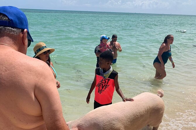 Ultimate SeaXscape Pigs/Turtles/Snorkel/Lunch/Drinks/PU/DO - Gilligan’s Island and the Harbor Ride