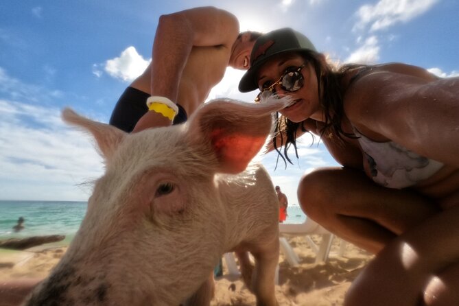 Ultimate SeaXscape Pigs/Turtles/Snorkel/Lunch/Drinks/PU/DO - Rose Island and Coral Reef Snorkeling