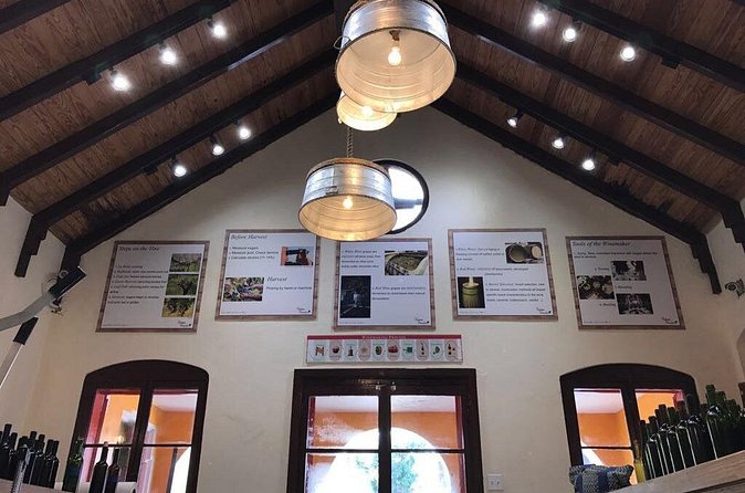 Wine Maker Class at Bahama Barrels - Why this Nassau wine class feels different