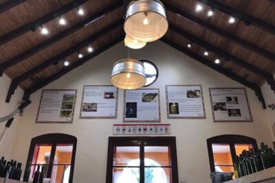 Wine Maker Class at Bahama Barrels
